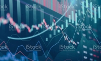 厦门国贸：2025年一季度净利润4